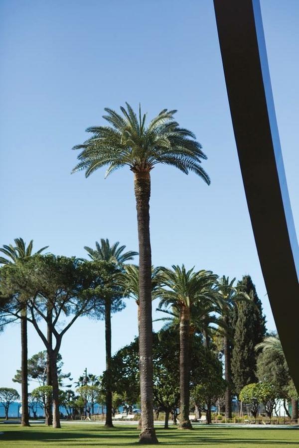Appartamento Le Prefecture - Luxueux F3 En Duplex, Ascenseur, Coeur Vieux-nice